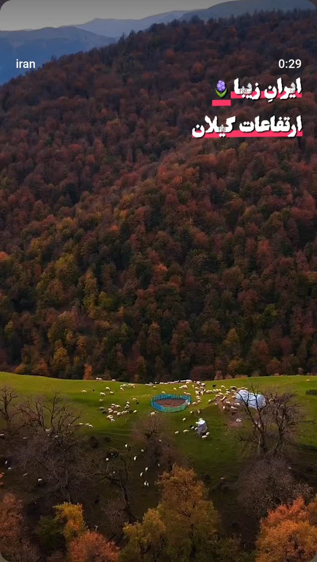  جدید ترین استوری اینستاگرام مصطفی تاجزاده