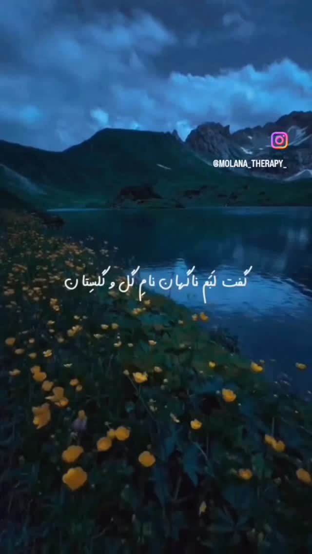  جدید ترین استوری اینستاگرام مصطفی تاجزاده