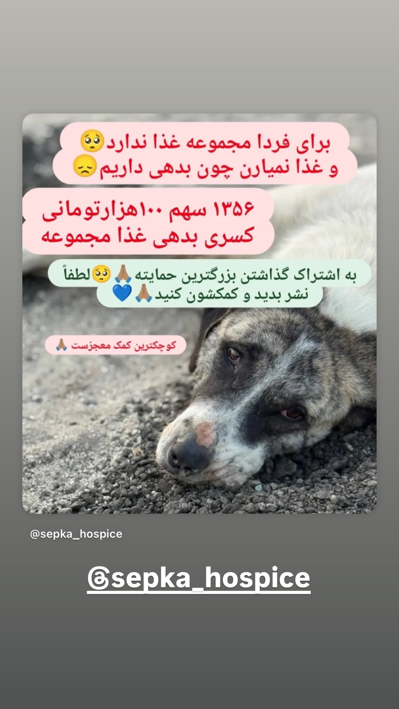  جدید ترین استوری اینستاگرام سید علی صالحی