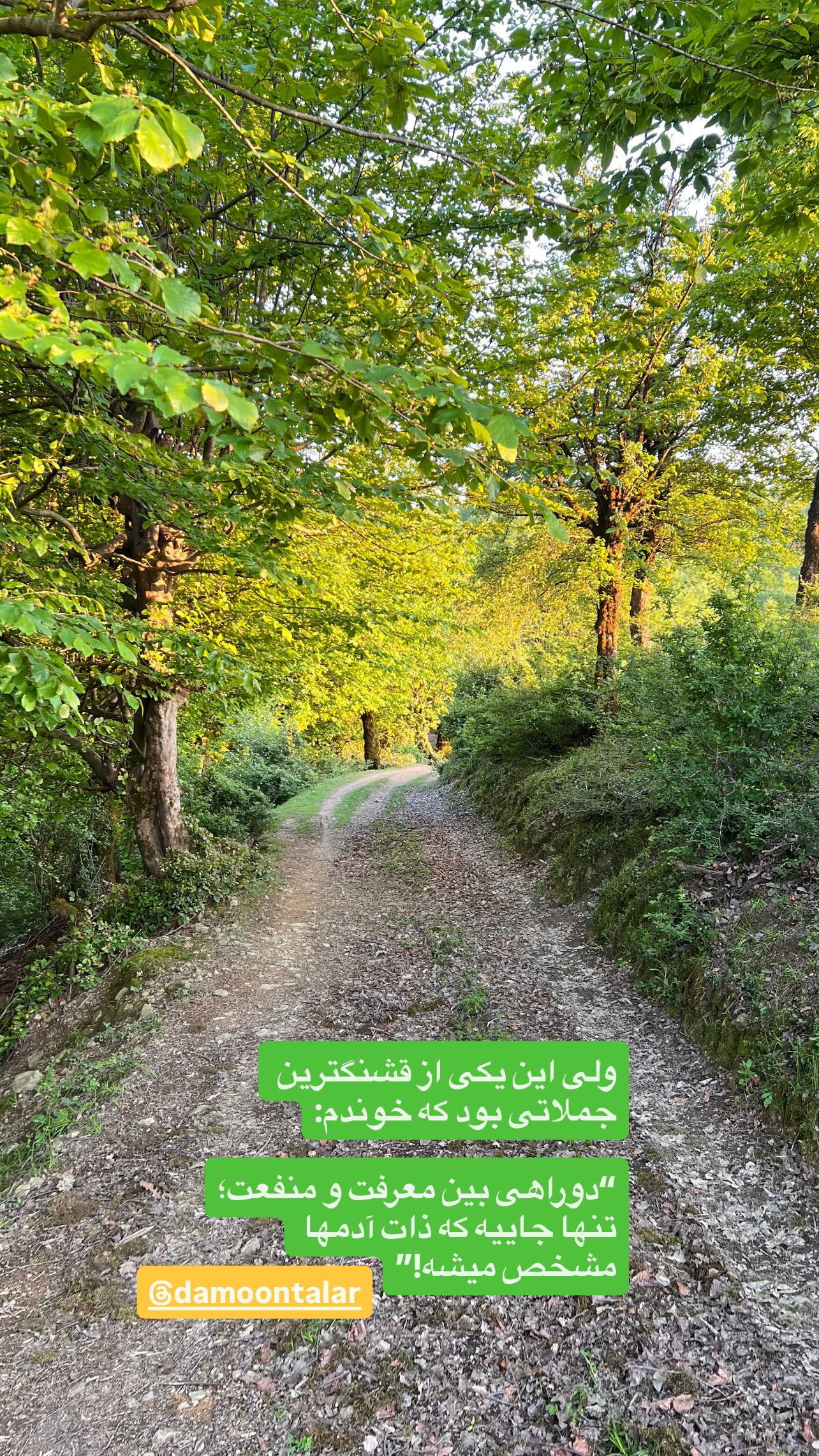  جدید ترین استوری اینستاگرام سید علی صالحی
