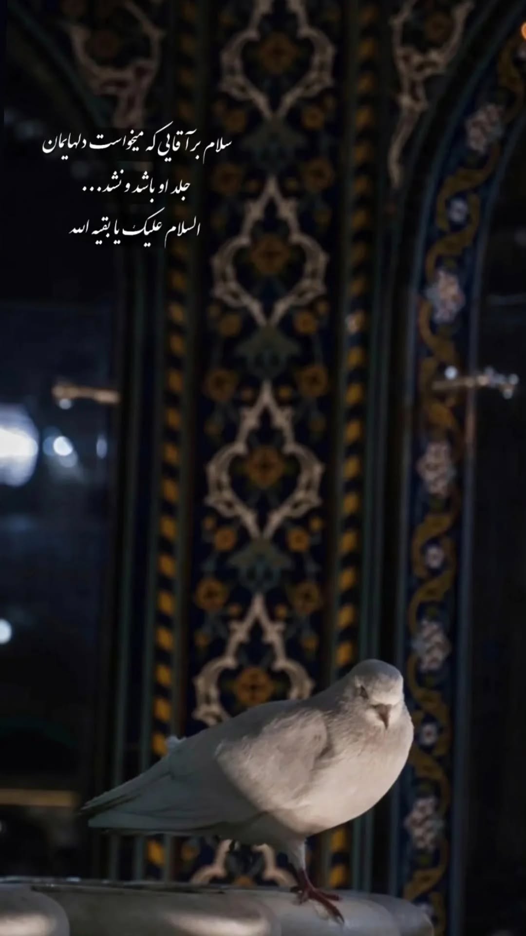  جدید ترین استوری اینستاگرام سید جلال صالحی