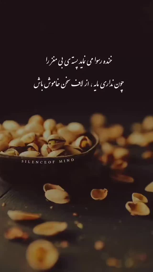  جدید ترین استوری اینستاگرام سید جلال صالحی