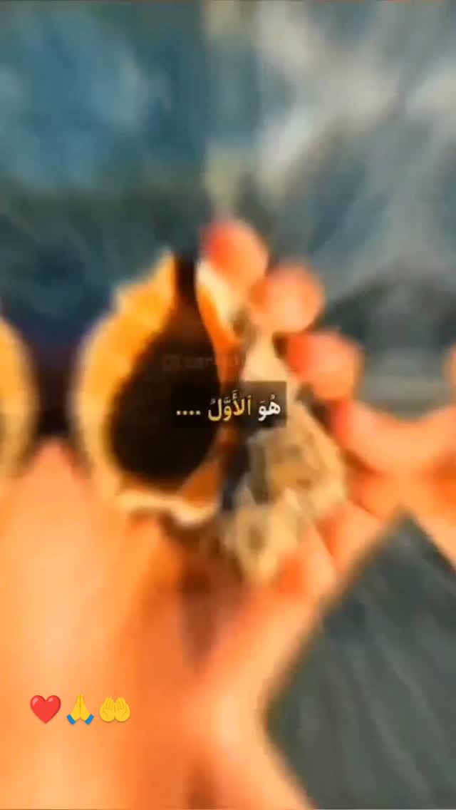  جدید ترین استوری اینستاگرام سید جواد هاشمی