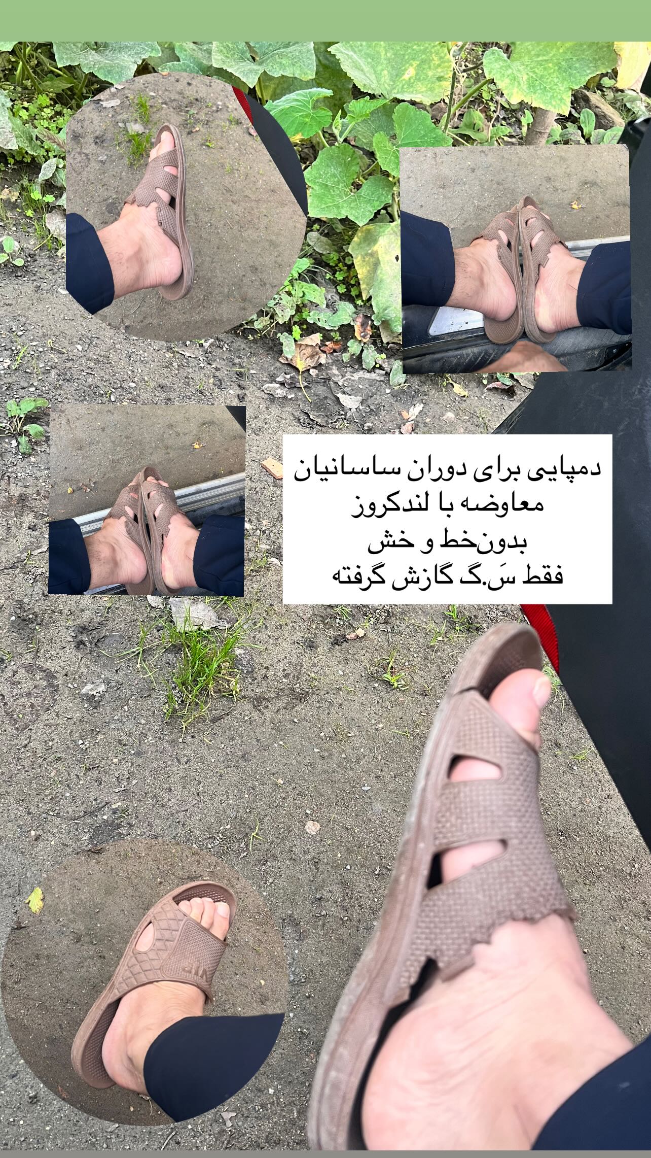  جدید ترین استوری اینستاگرام سید محمد حسینی