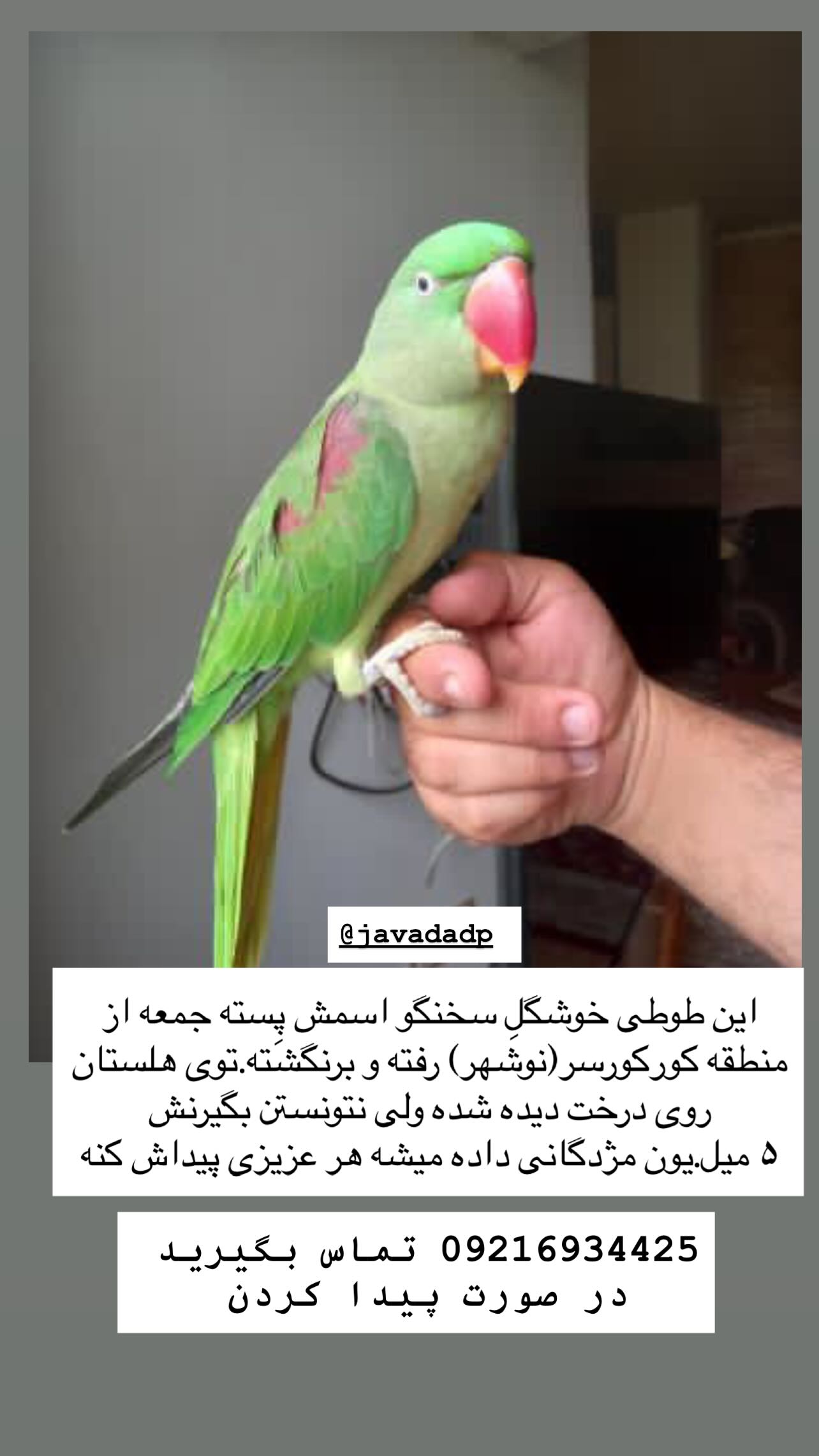  جدید ترین استوری اینستاگرام سید محمد حسینی