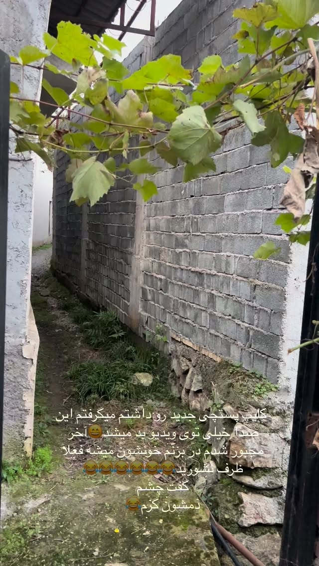  جدید ترین استوری اینستاگرام سید محمد حسینی