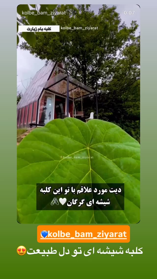  جدید ترین استوری اینستاگرام سید محمد حسینی