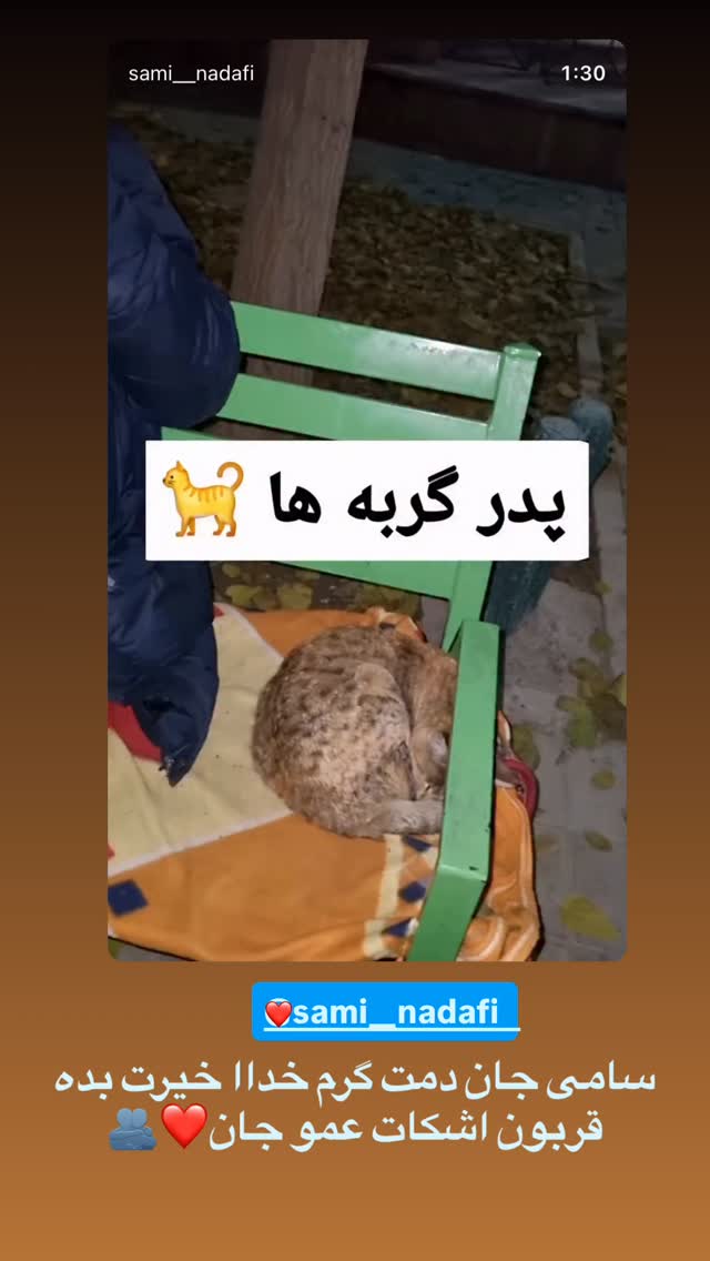  جدید ترین استوری اینستاگرام سید محمد حسینی