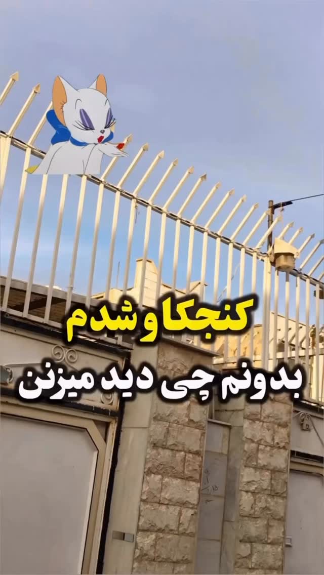  جدید ترین استوری اینستاگرام سید محمد حسینی