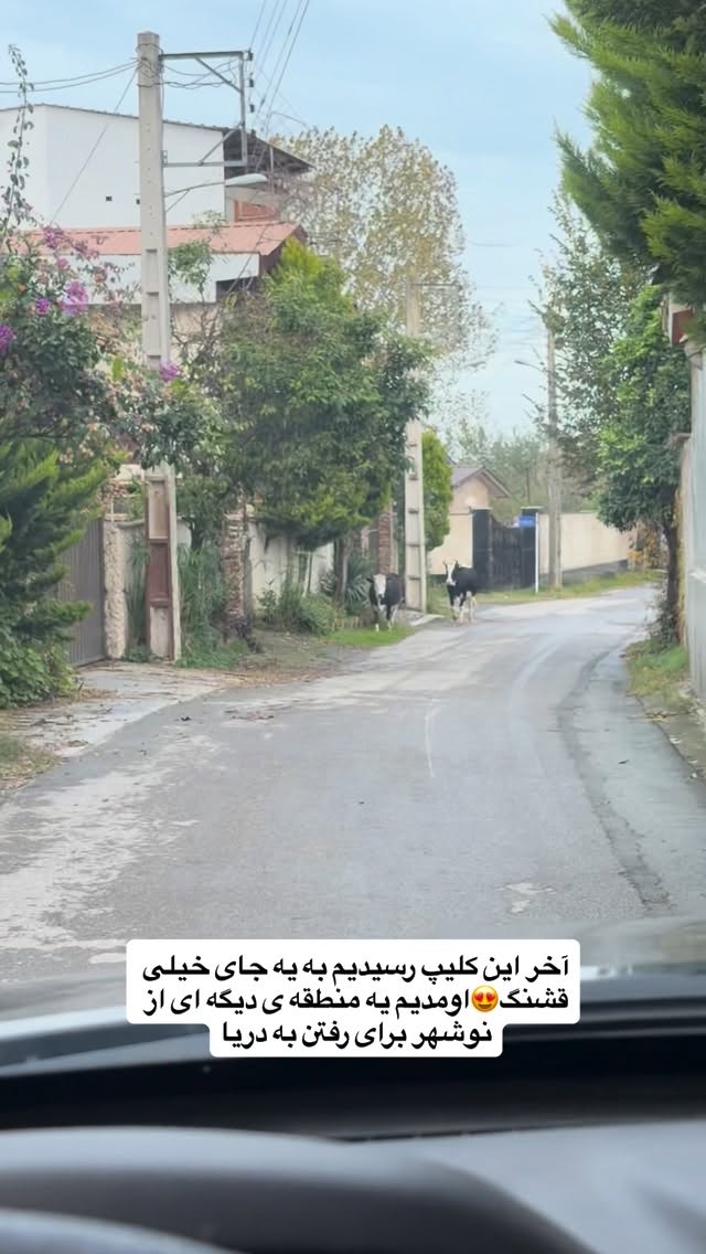 جدید ترین استوری اینستاگرام سید محمد حسینی