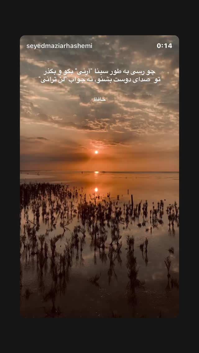  جدید ترین استوری اینستاگرام سید مازیار هاشمی