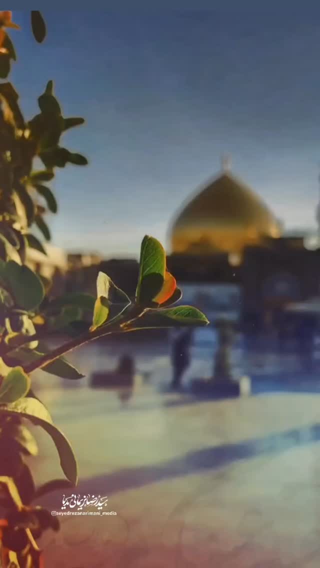  جدید ترین استوری اینستاگرام سید رضا نریمانی