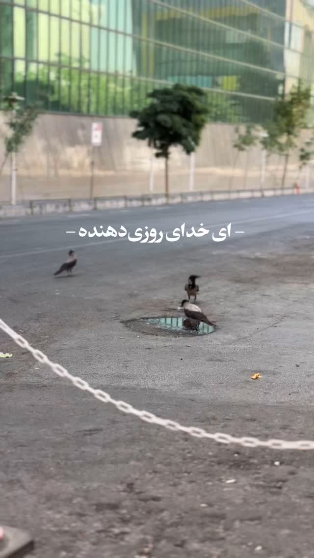  جدید ترین استوری اینستاگرام سید مصطفی موسوی