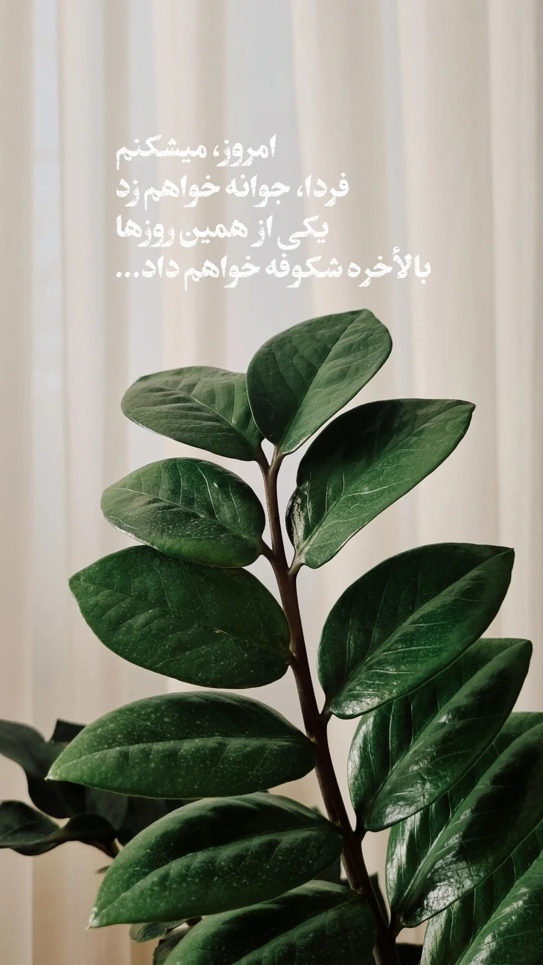  جدید ترین استوری اینستاگرام سید مصطفی موسوی