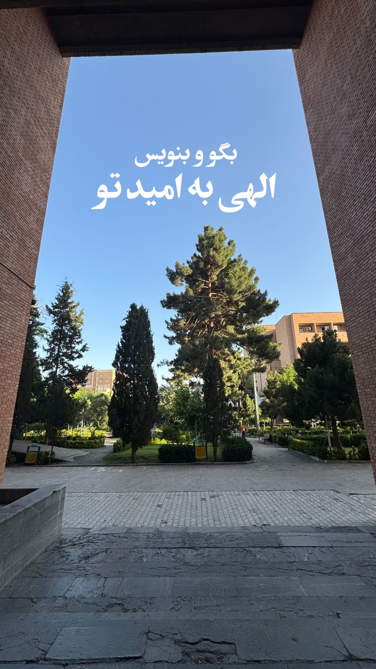  جدید ترین استوری اینستاگرام سید مصطفی موسوی