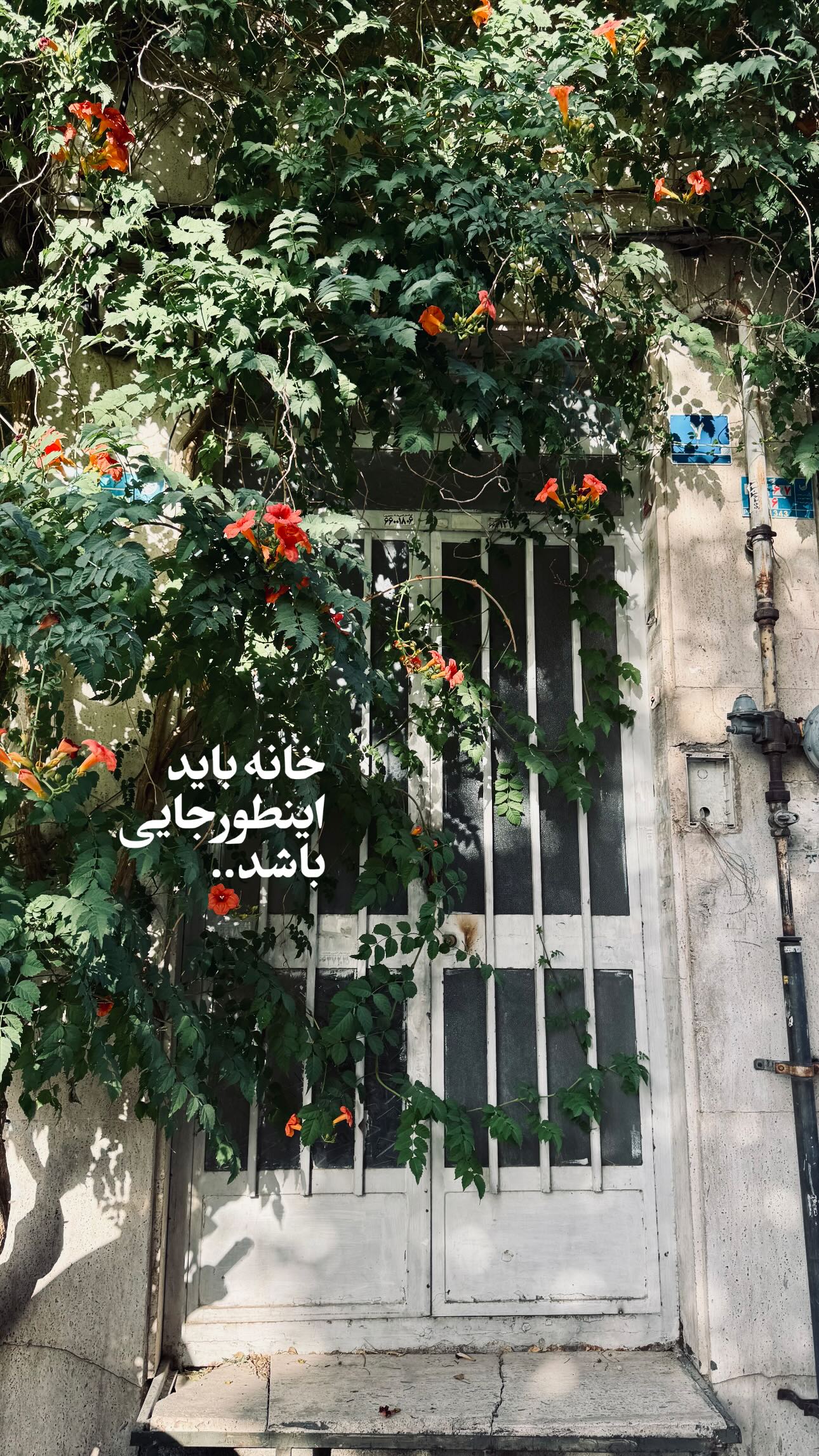  جدید ترین استوری اینستاگرام سید مصطفی موسوی