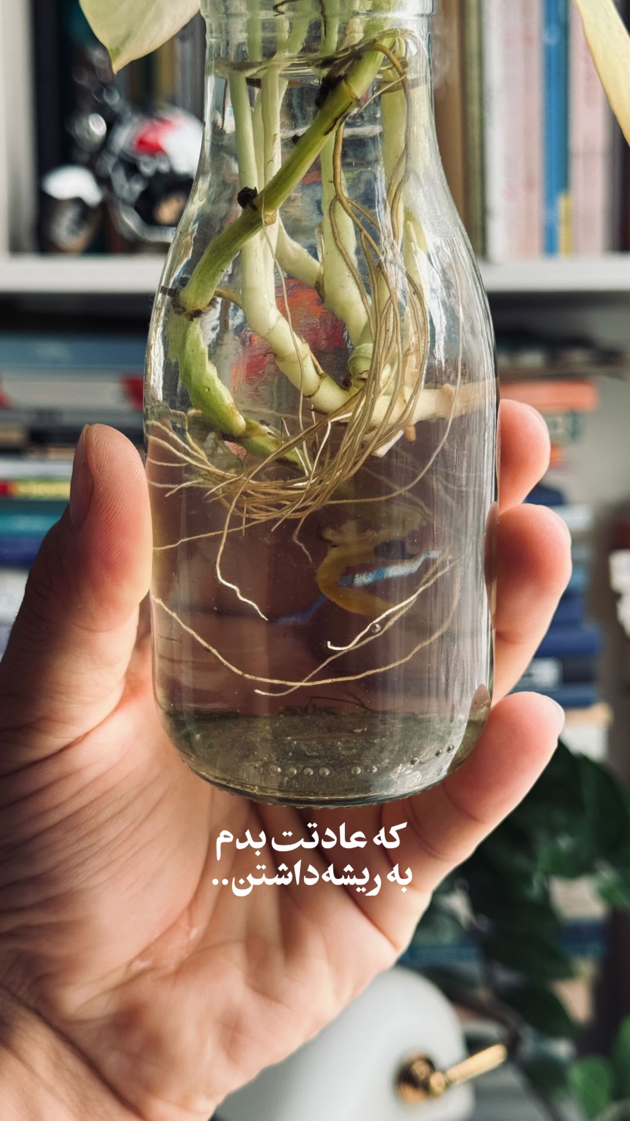  جدید ترین استوری اینستاگرام سید مصطفی موسوی