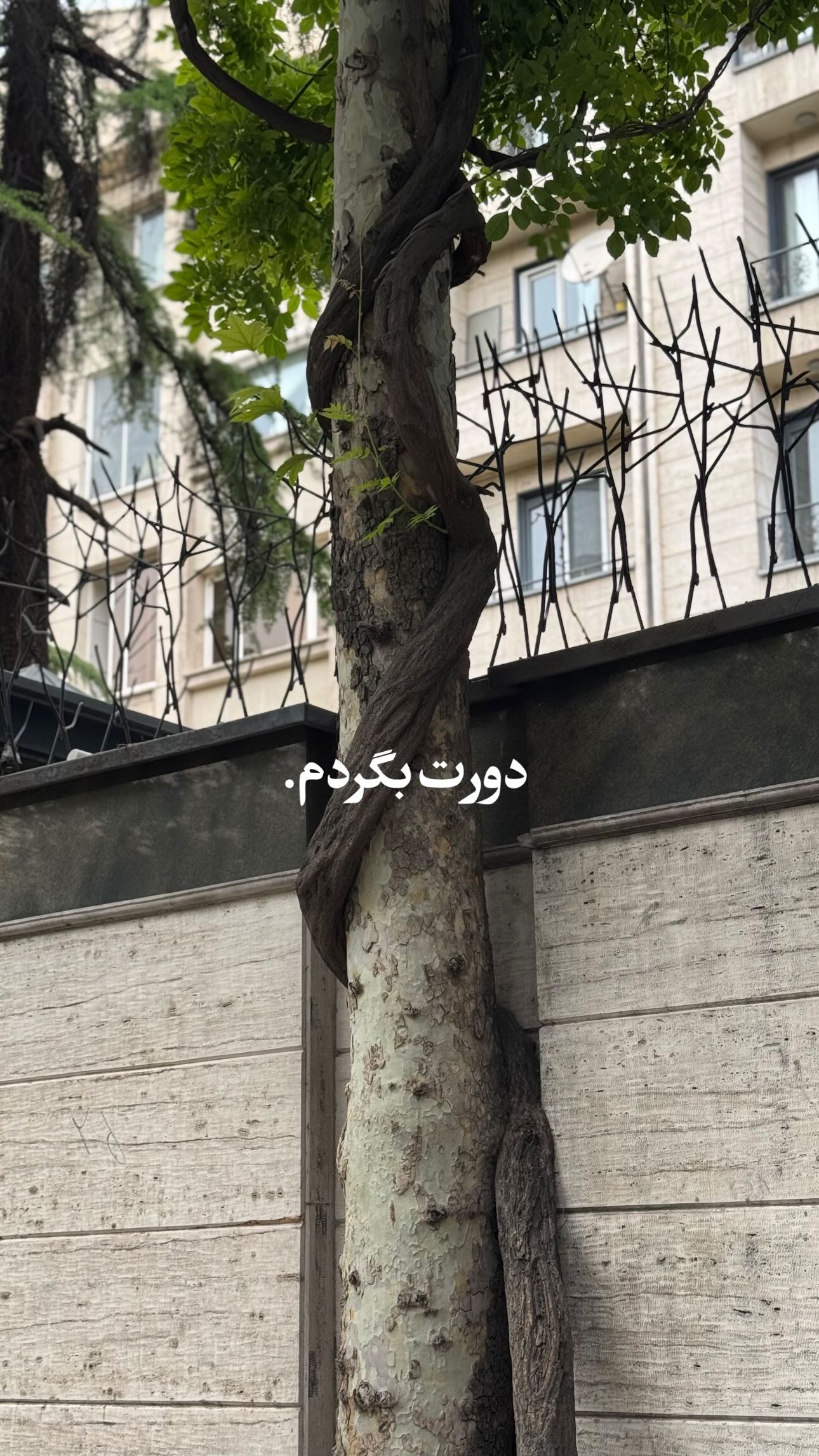  جدید ترین استوری اینستاگرام سید مصطفی موسوی