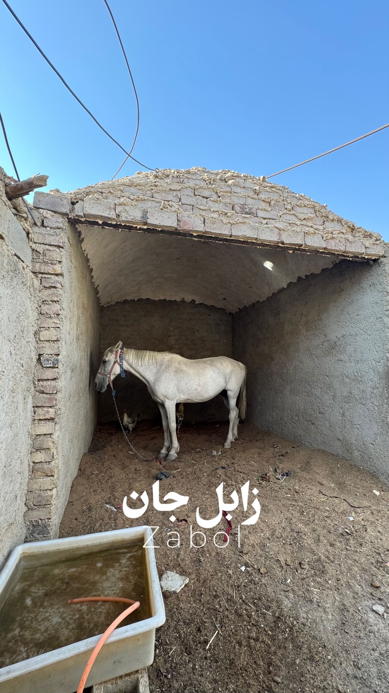  جدید ترین استوری اینستاگرام سید مصطفی موسوی