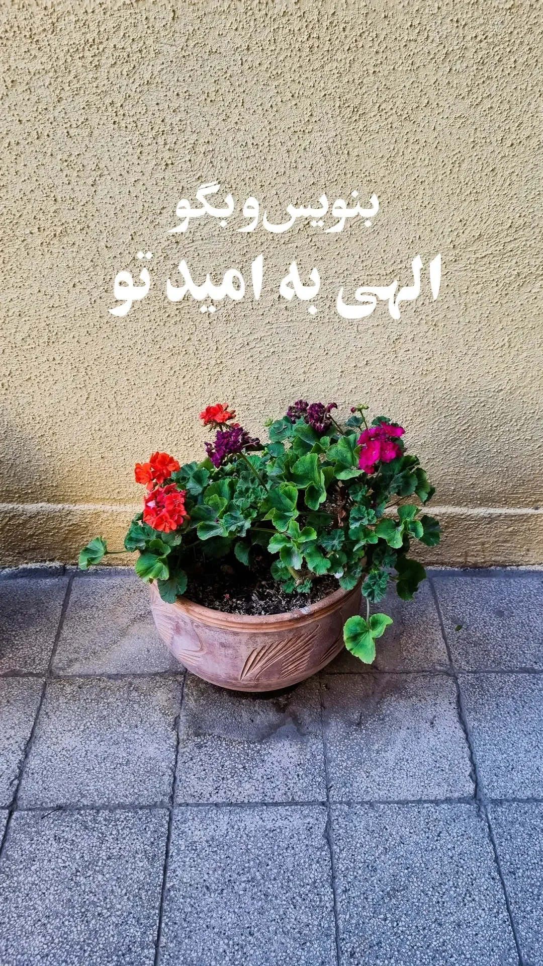  جدید ترین استوری اینستاگرام سید مصطفی موسوی