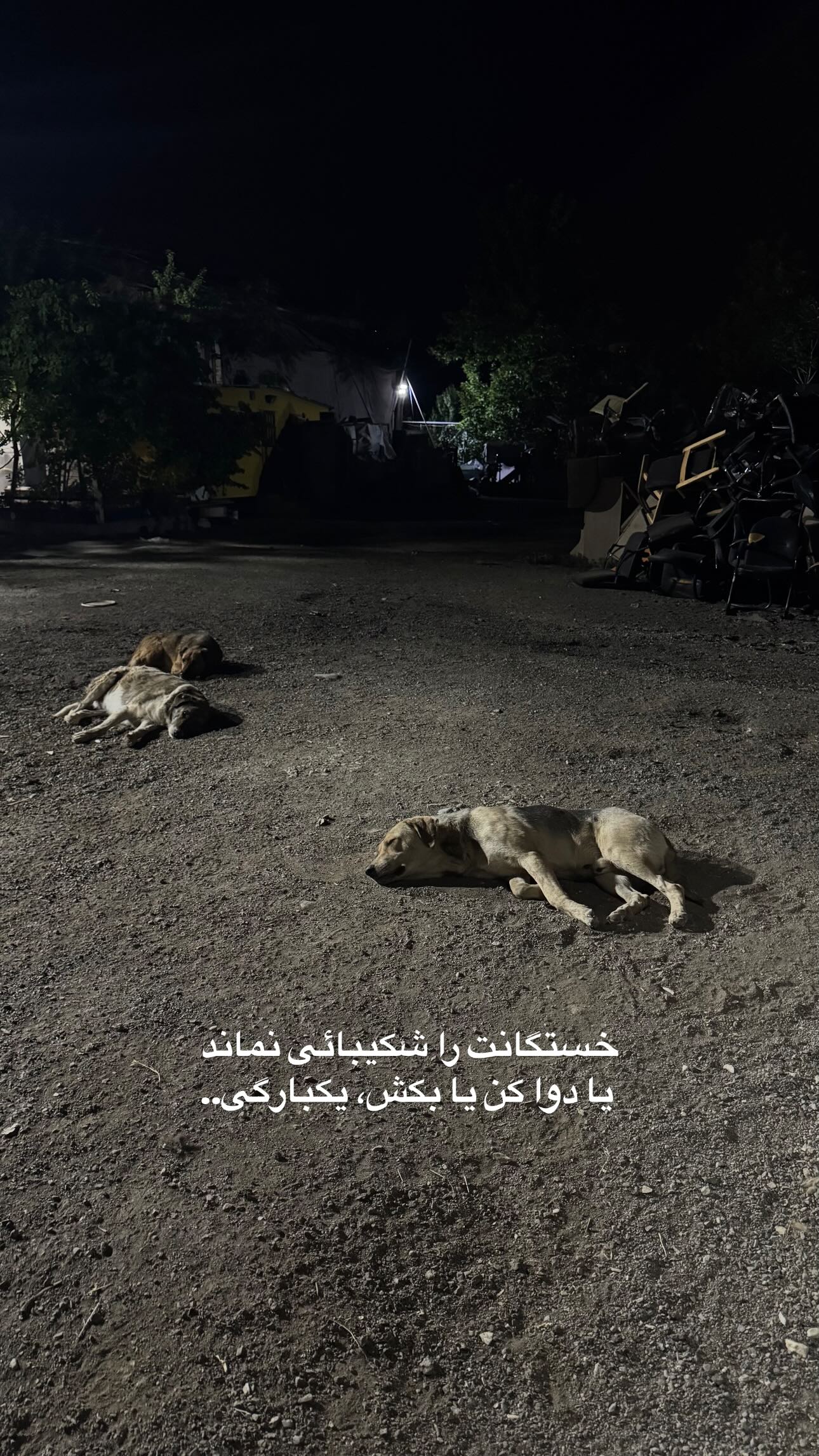  جدید ترین استوری اینستاگرام سید مصطفی موسوی