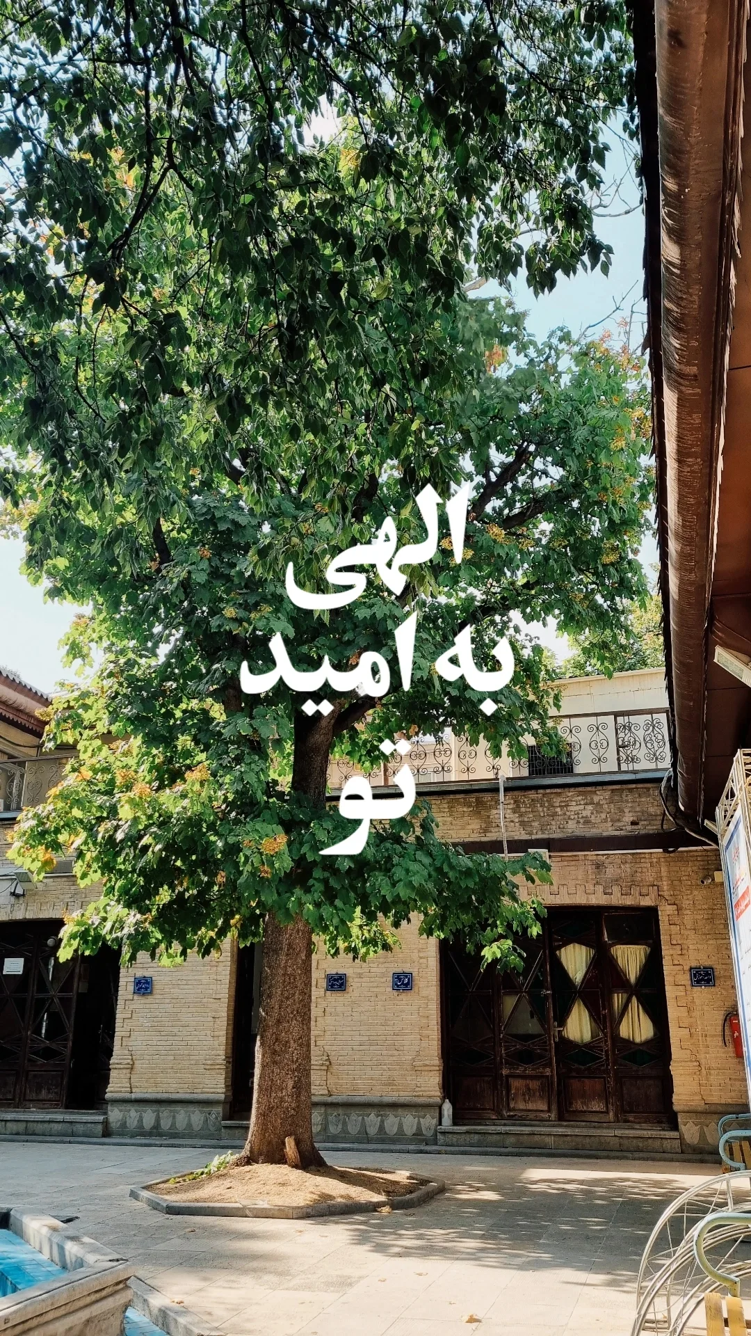  جدید ترین استوری اینستاگرام سید مصطفی موسوی
