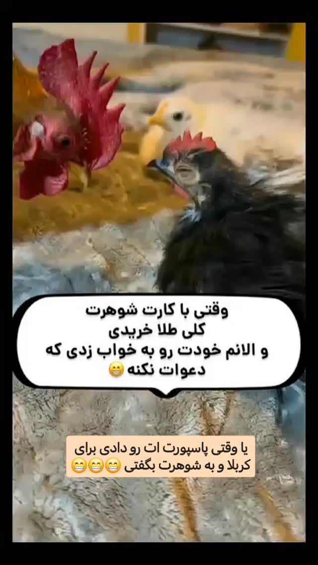  جدید ترین استوری اینستاگرام سیدکاظم روح بخش