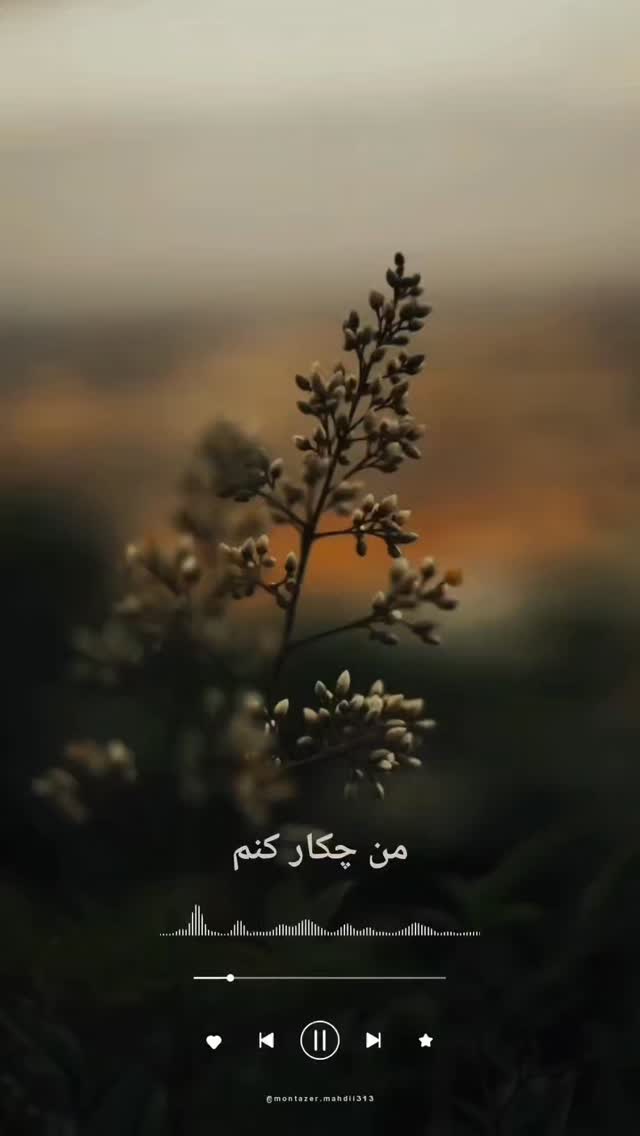  جدید ترین استوری اینستاگرام سیدکاظم روح بخش
