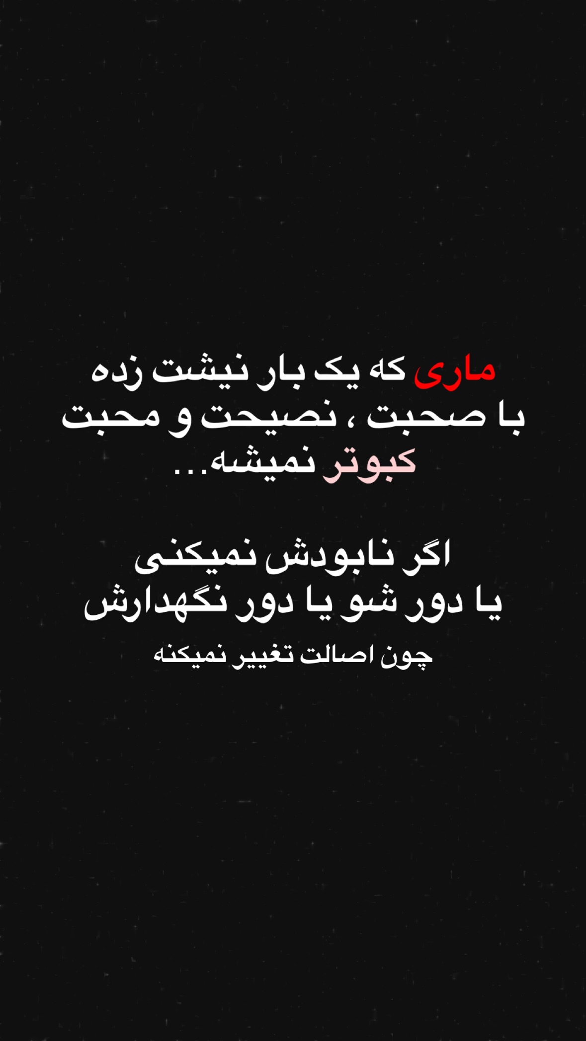  جدید ترین استوری اینستاگرام سید جواد