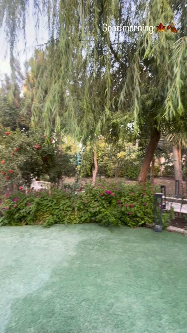  جدید ترین استوری اینستاگرام شبنم علیخانی