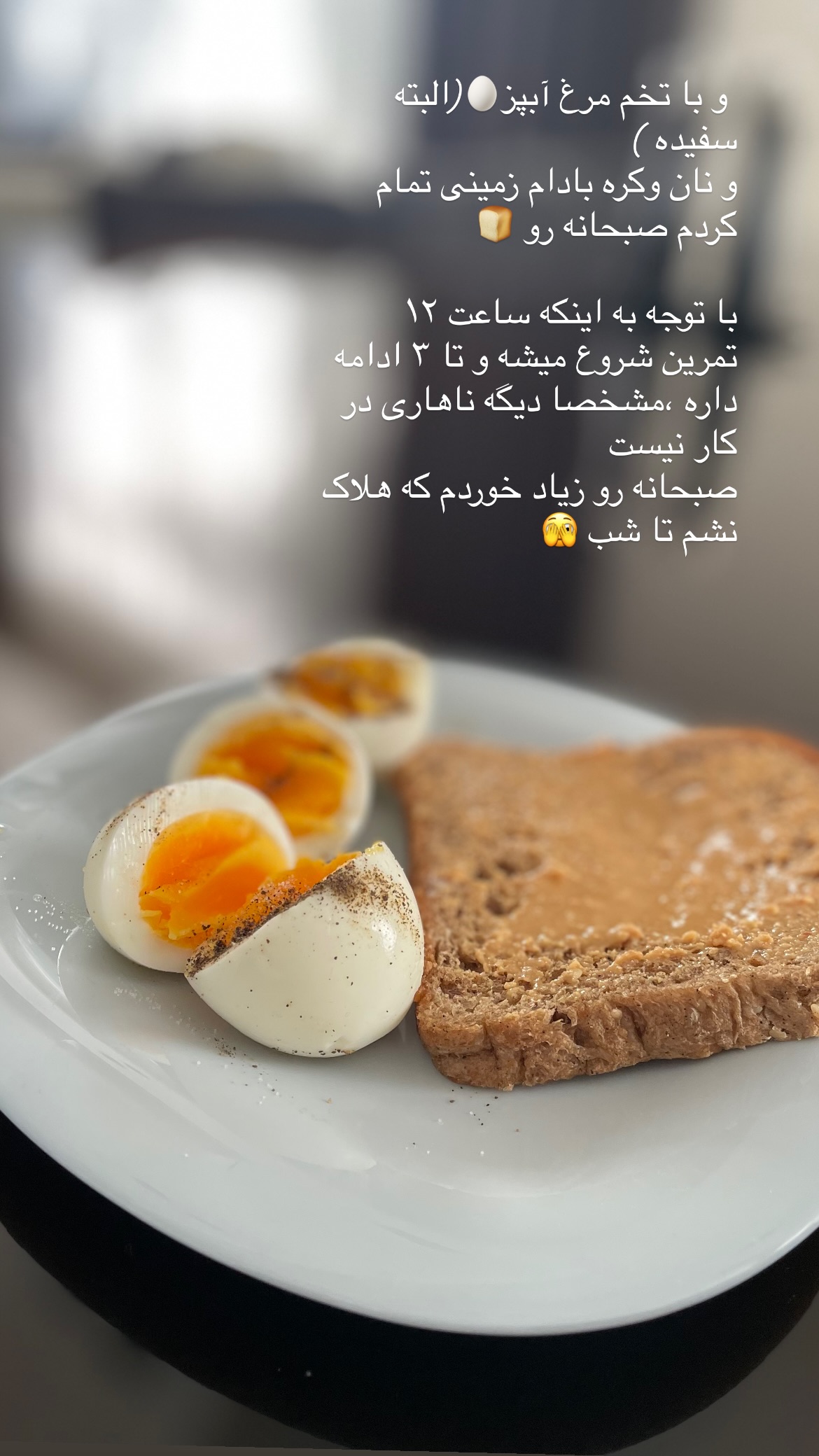  جدید ترین استوری اینستاگرام شبنم علیخانی