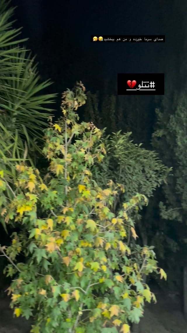  جدید ترین استوری اینستاگرام شبنم علیخانی