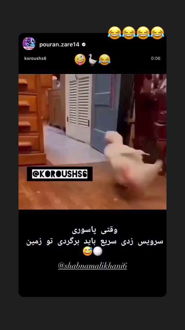  جدید ترین استوری اینستاگرام شبنم علیخانی