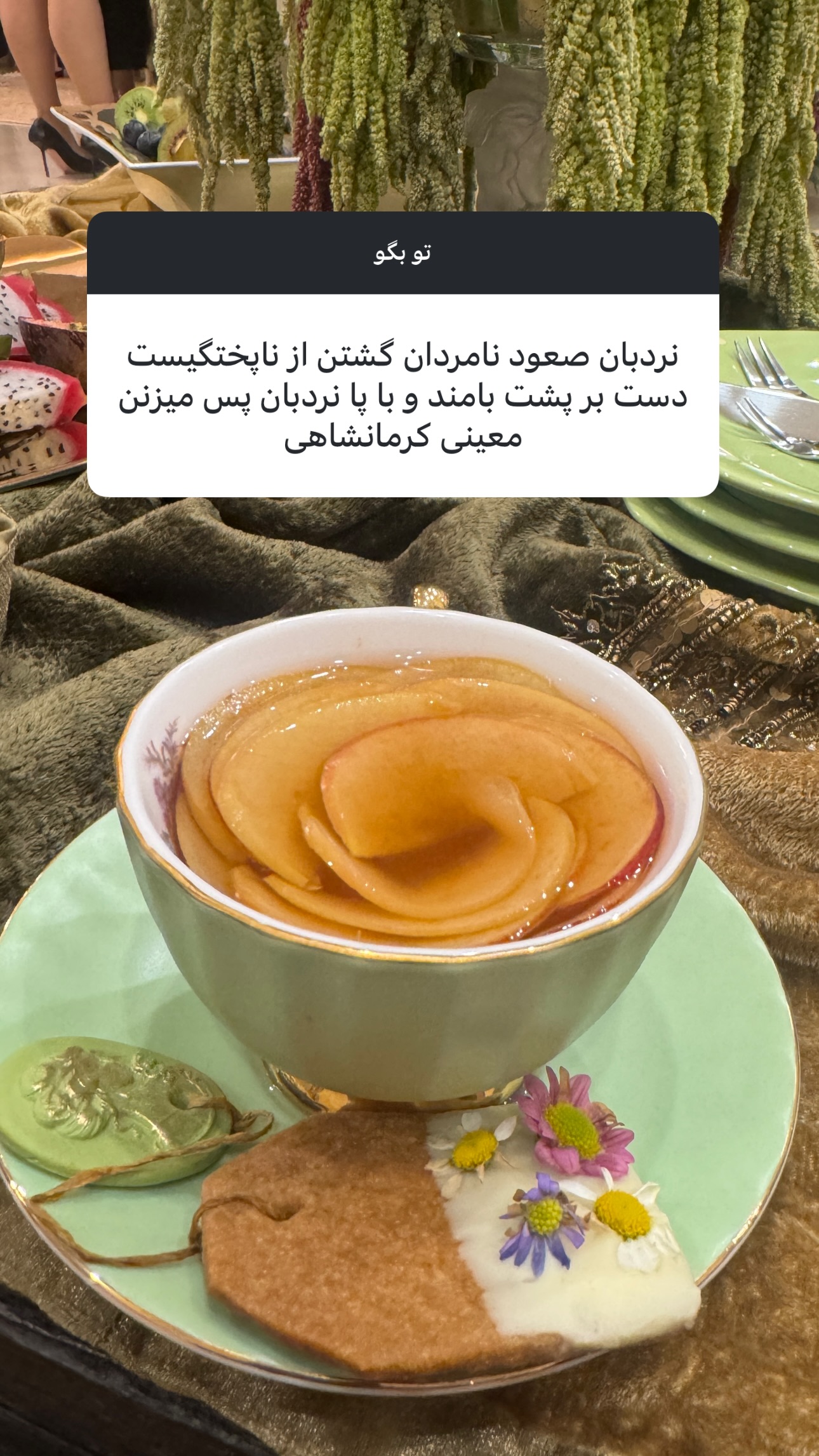  جدید ترین استوری اینستاگرام شبنم قلیخانی
