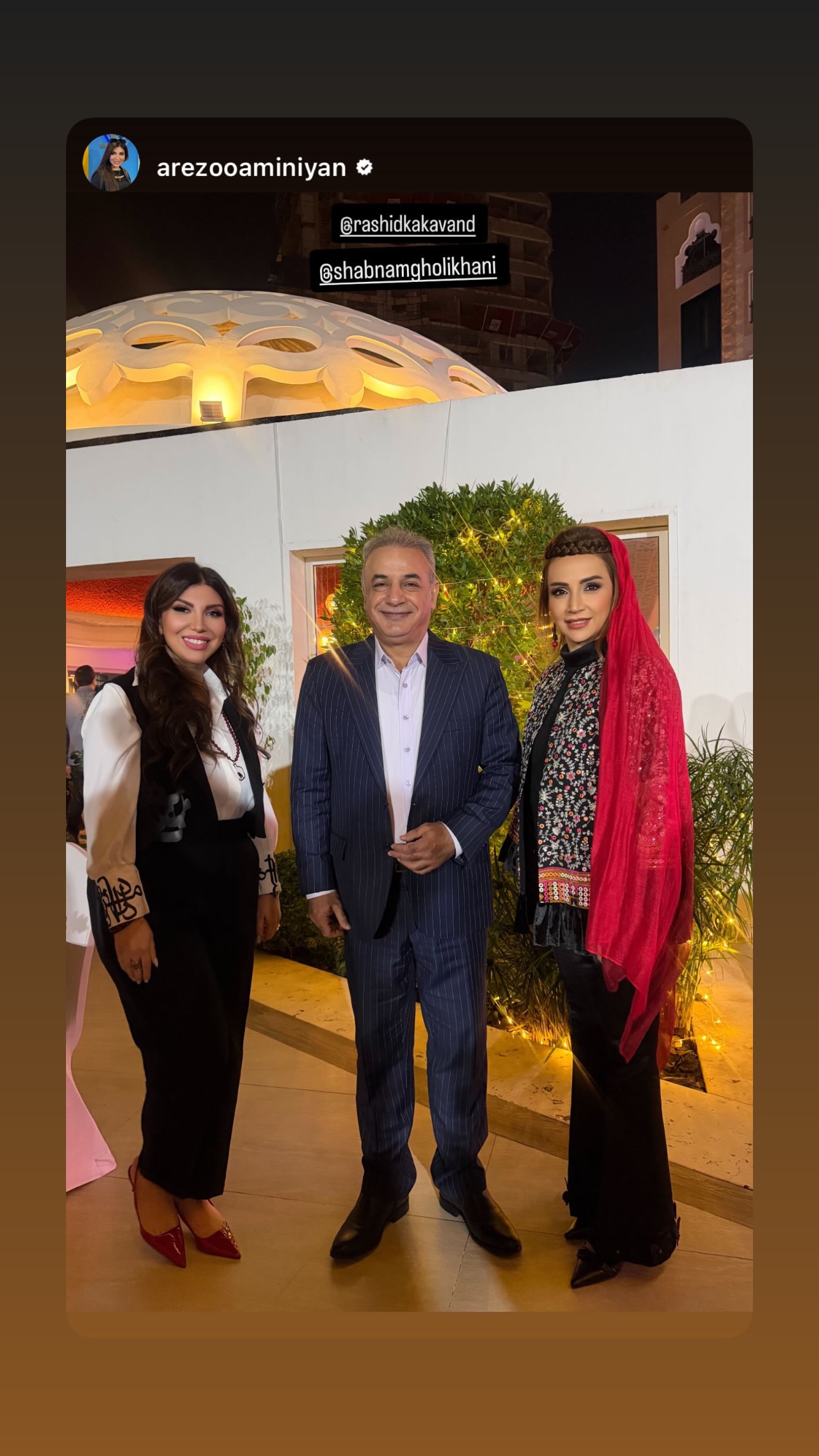  جدید ترین استوری اینستاگرام شبنم قلیخانی