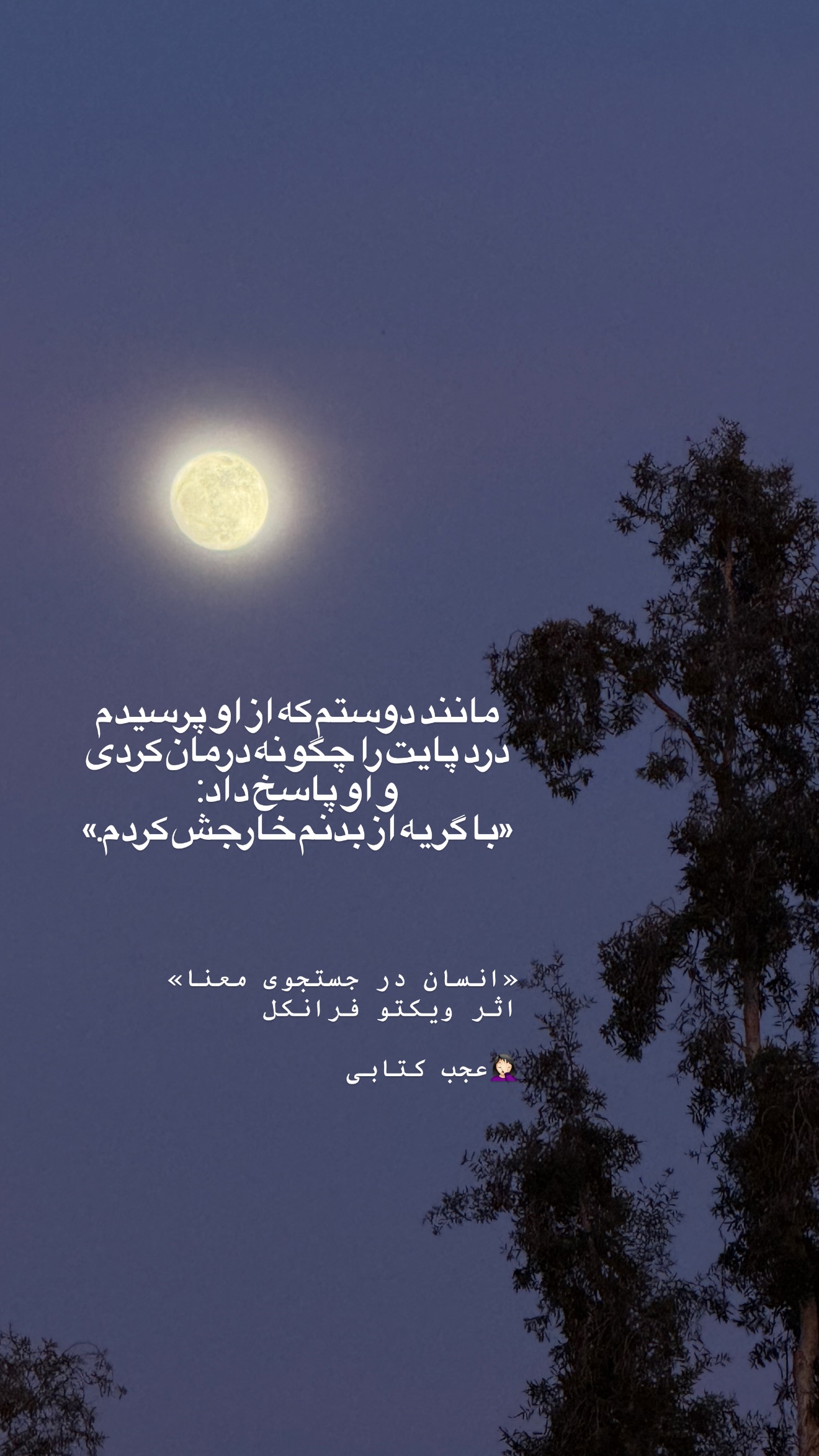  جدید ترین استوری اینستاگرام Shadi Amini
