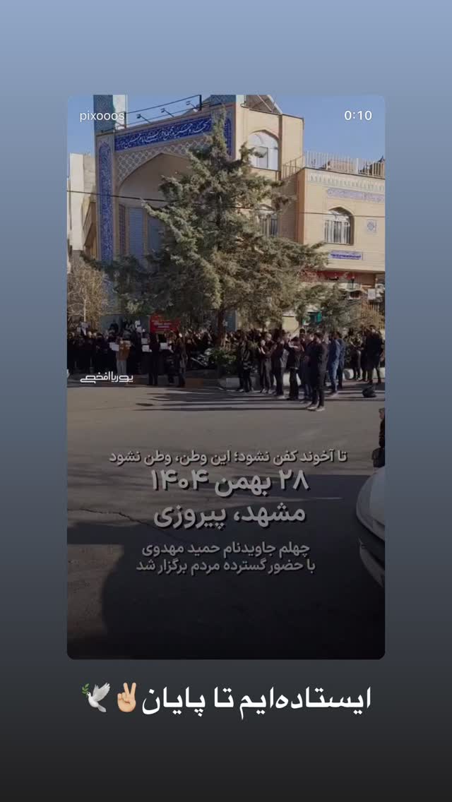  جدید ترین استوری اینستاگرام Shadi Amini