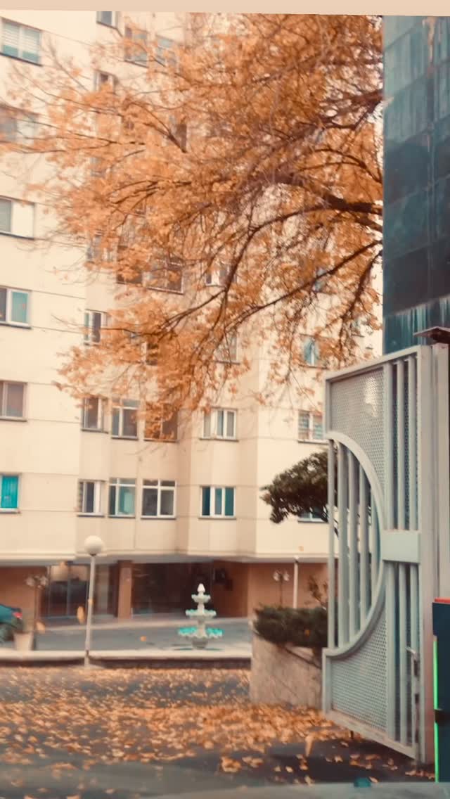  جدید ترین استوری اینستاگرام شقایق فتاحی