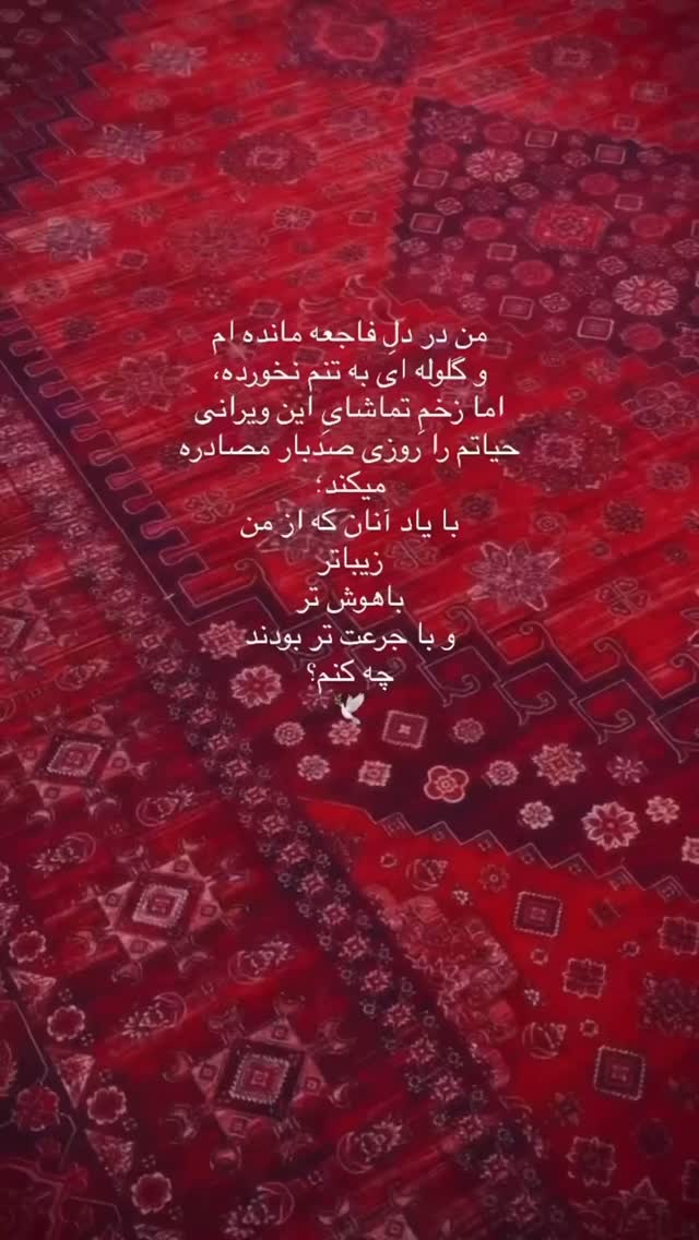  جدید ترین استوری اینستاگرام شقایق فتاحی