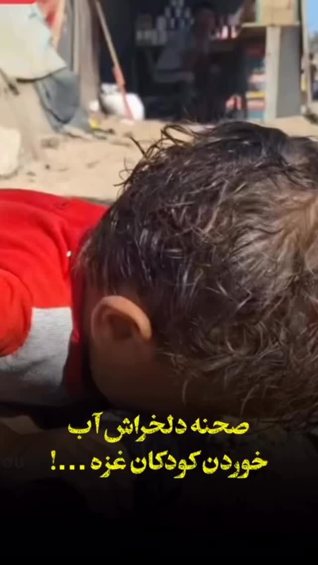  جدید ترین استوری اینستاگرام سيد شهاب الدین شکیبا