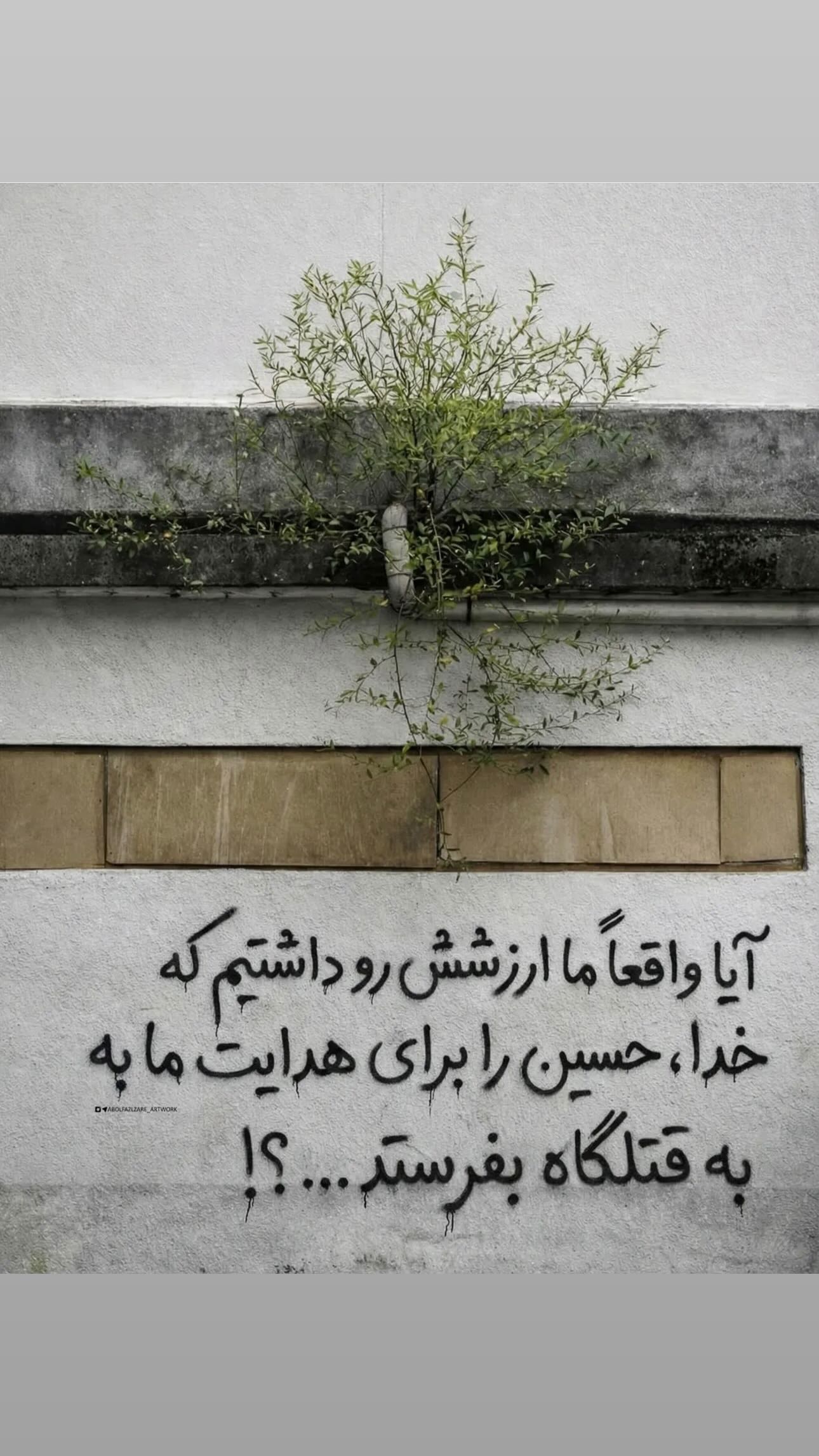  جدید ترین استوری اینستاگرام سيد شهاب الدین شکیبا