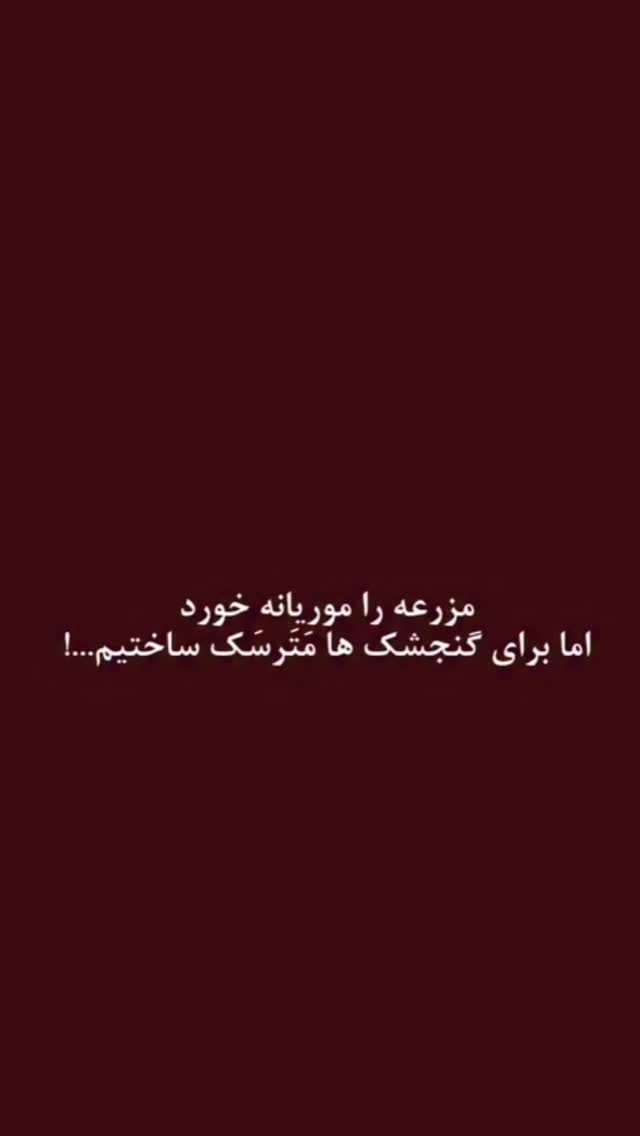  جدید ترین استوری اینستاگرام شهاب مظفری