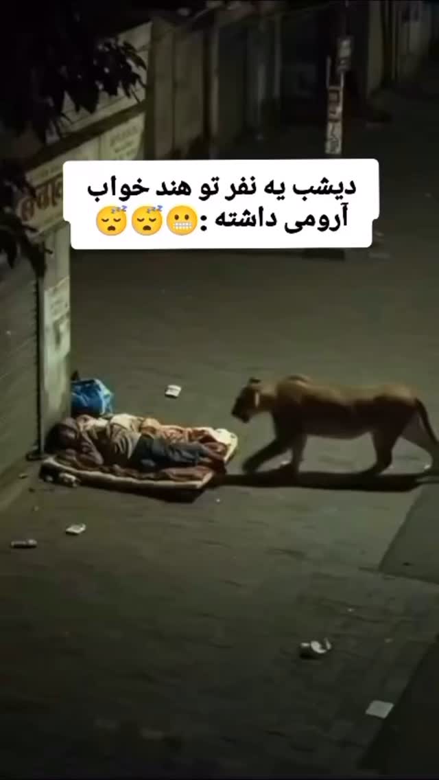  جدید ترین استوری اینستاگرام محمد شهابی