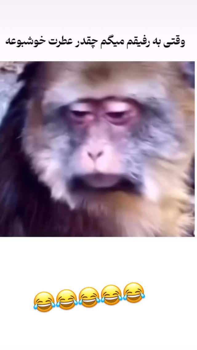  جدید ترین استوری اینستاگرام محمد شهابی