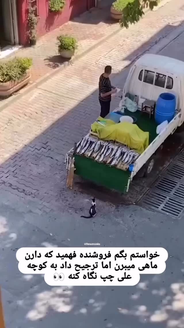  جدید ترین استوری اینستاگرام محمد شهابی