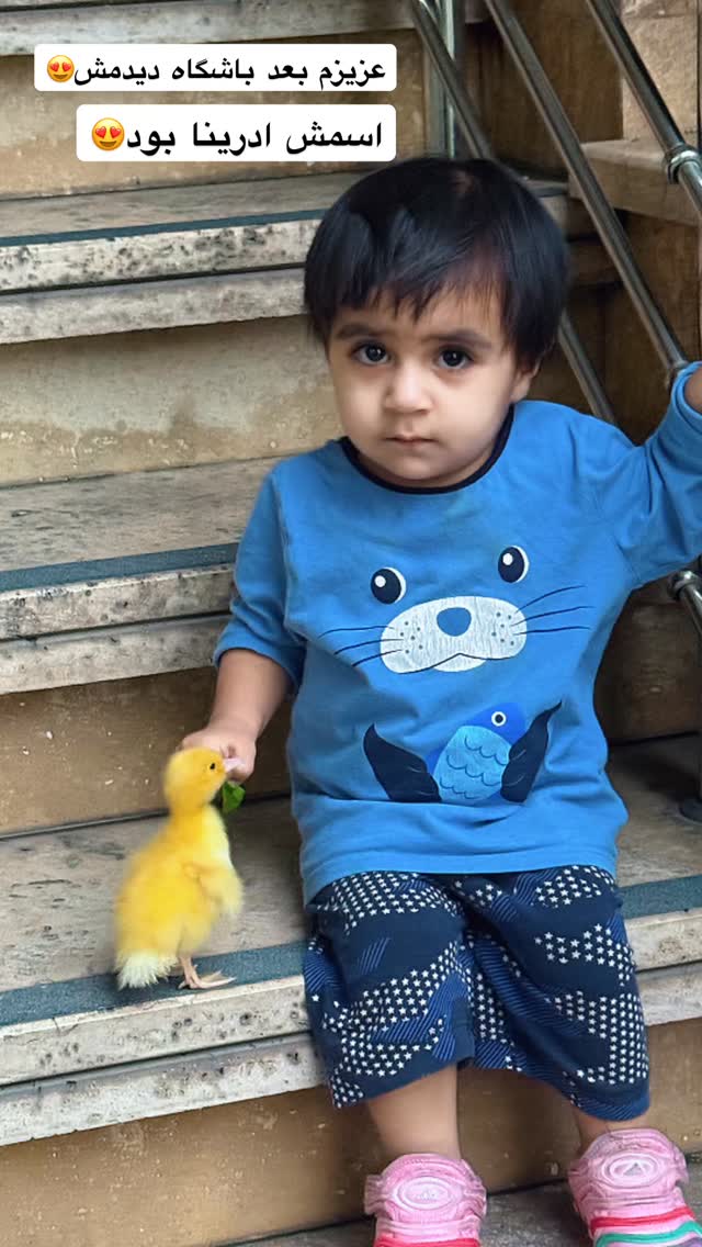  جدید ترین استوری اینستاگرام محمد شهابی