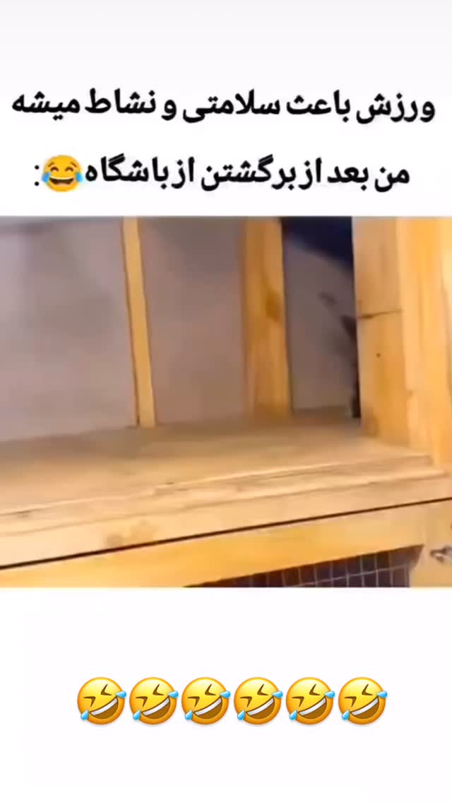  جدید ترین استوری اینستاگرام محمد شهابی