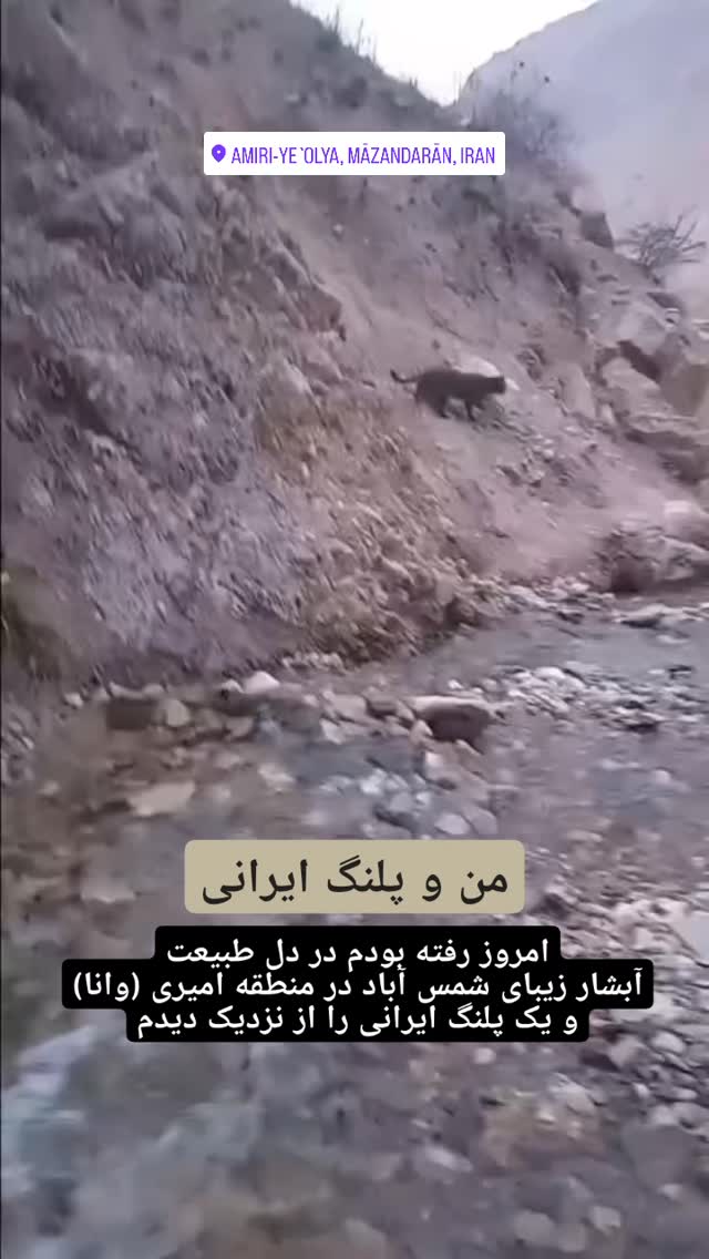  جدید ترین استوری اینستاگرام شاهد احمدلو