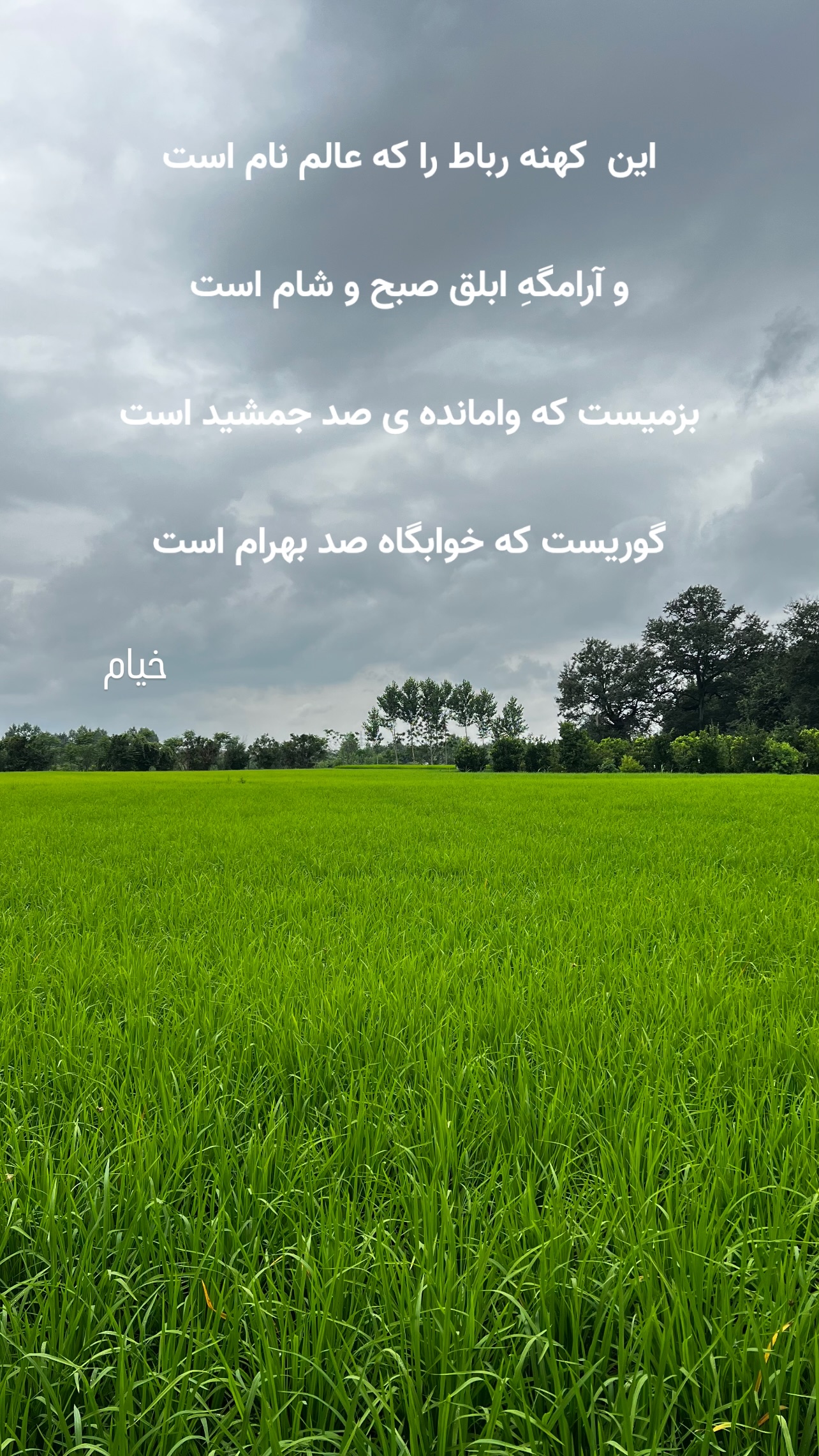  جدید ترین استوری اینستاگرام شاهین جمشیدی