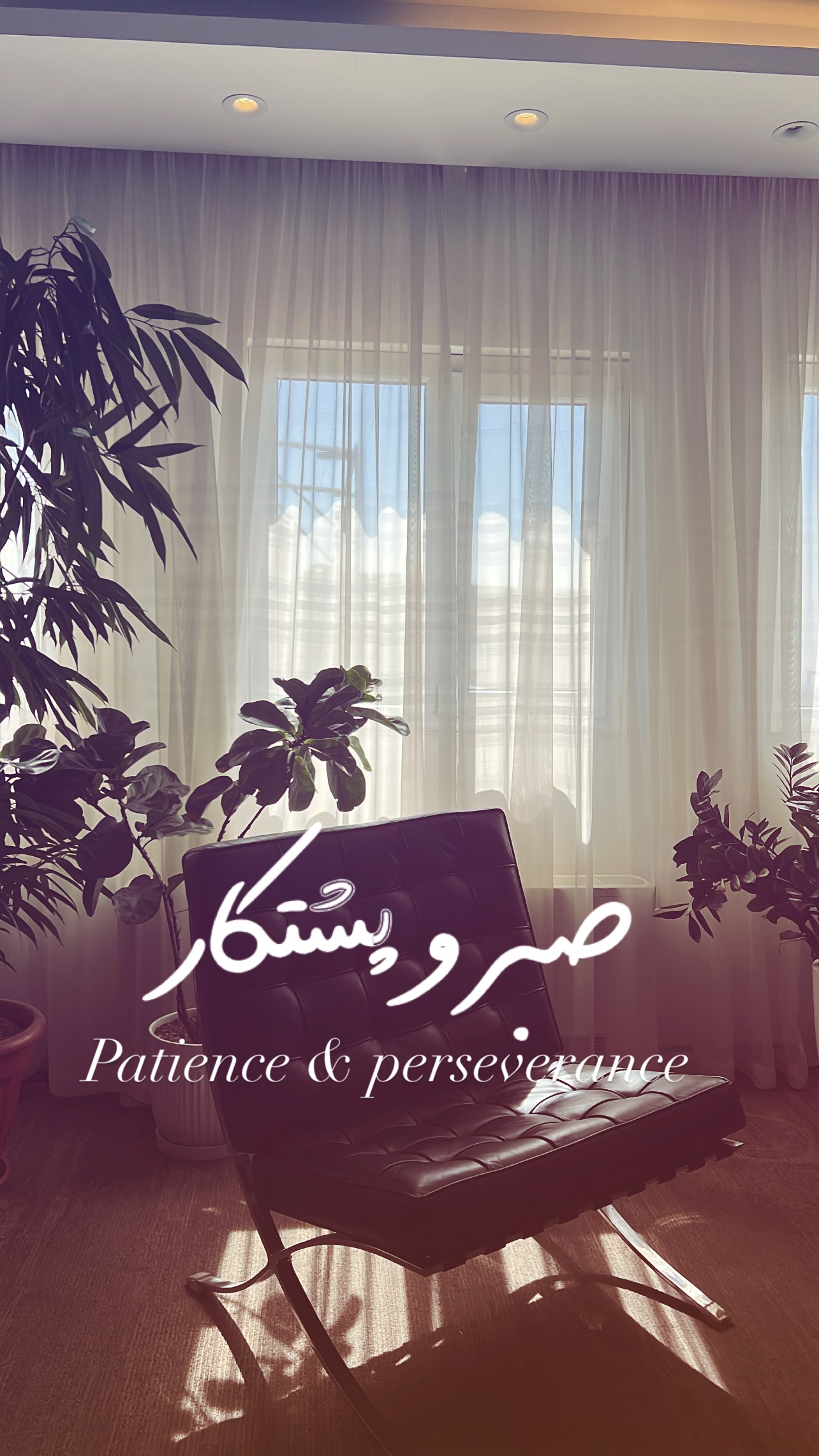  جدید ترین استوری اینستاگرام شاهین جمشیدی